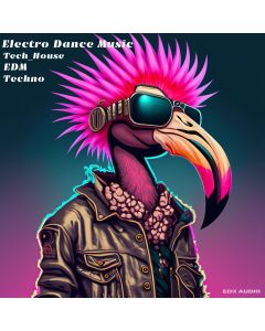 Electro Dance MusicSample Packs, MIDI FIles