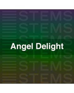 Audio Stems - Angel Delight