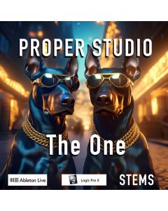 Proper Studio - The OneAudio STEMS