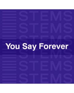 Audio Stems - You Say Forever