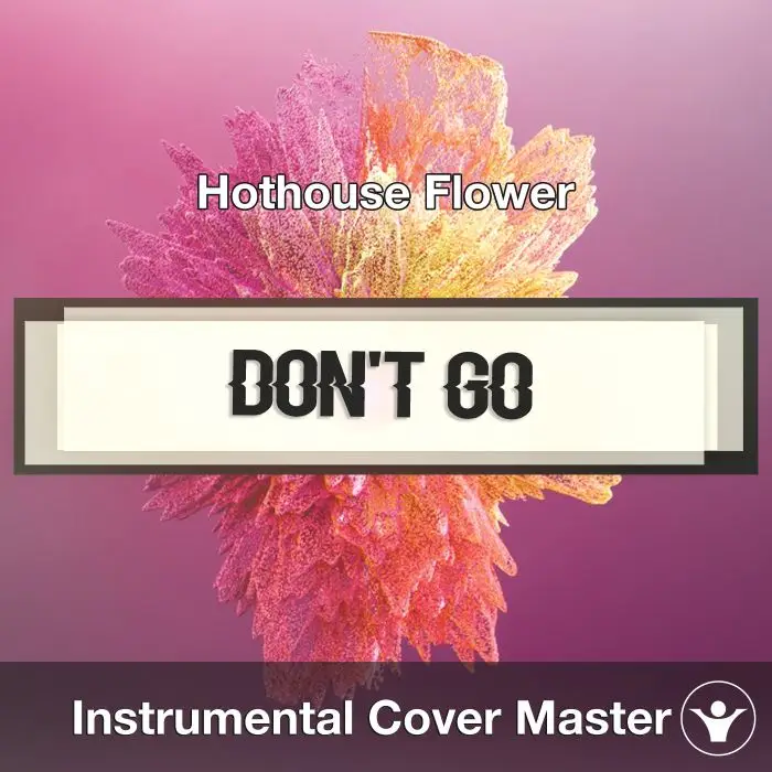 Don't Go (Hothouse Flower) - Instrumental CoverInstrumental Covers