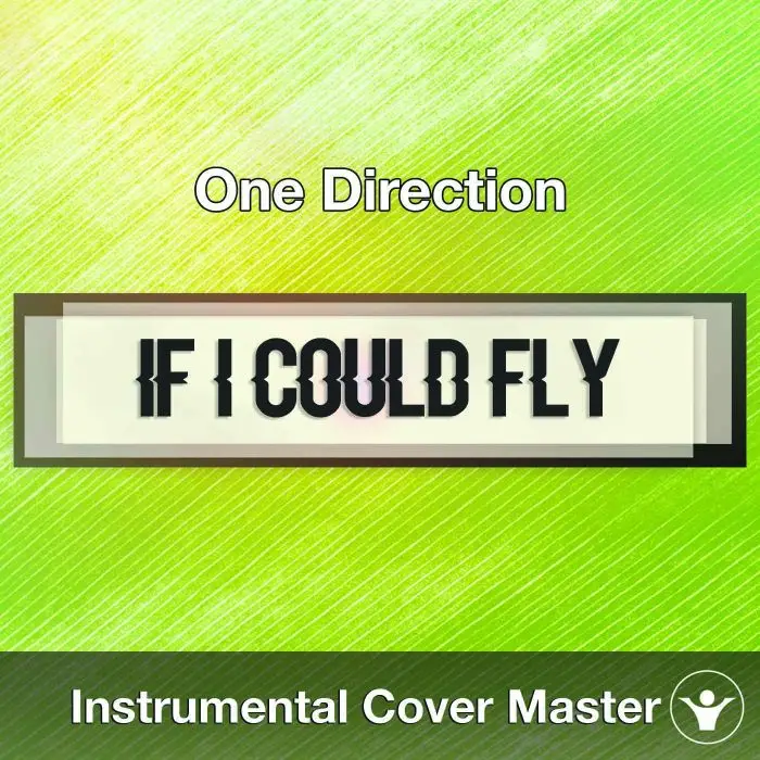 One Direction - If I Could Fly (Instrumental Cover)Instrumental Covers