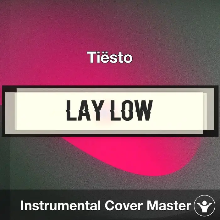 Lay Low - Tiësto - Instrumental CoverInstrumental Covers