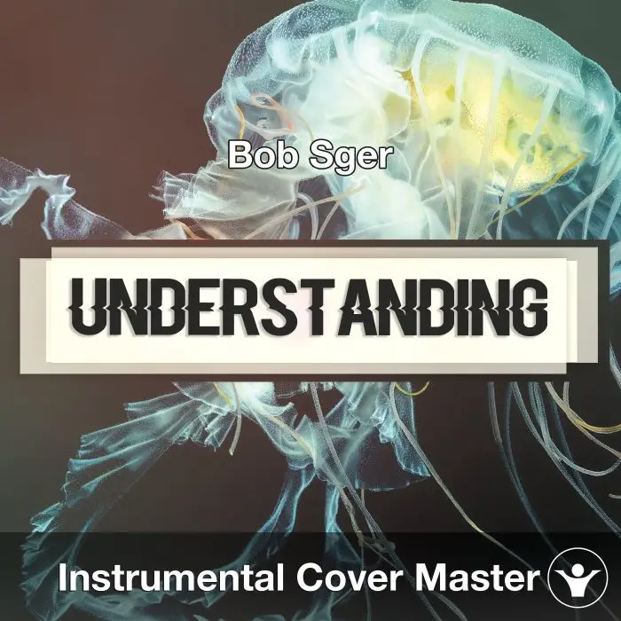 Understanding (Bob Seger) - Instrumental CoverInstrumental Covers