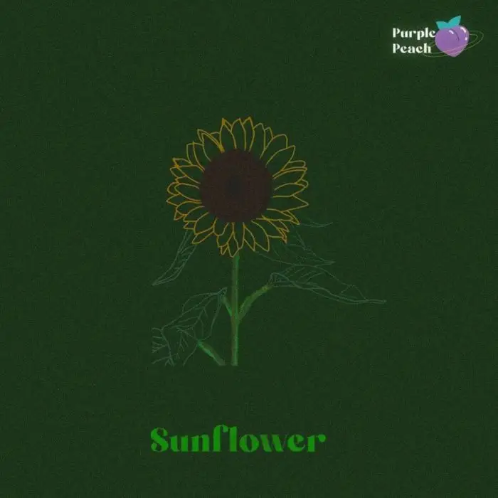 Purple Peach - SunflowerSample Packs