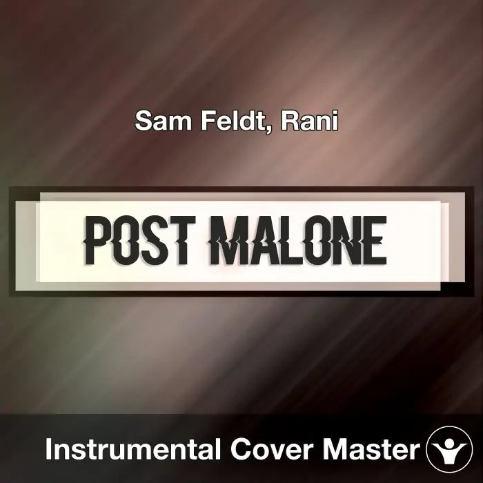 Sam Feldt, Rani - Post Malone (Instrumental Cover)Instrumental Covers