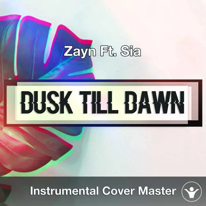 Zayn Ft. Sia - Dusk Till Dawn (Instrumental Cover)Instrumental Covers