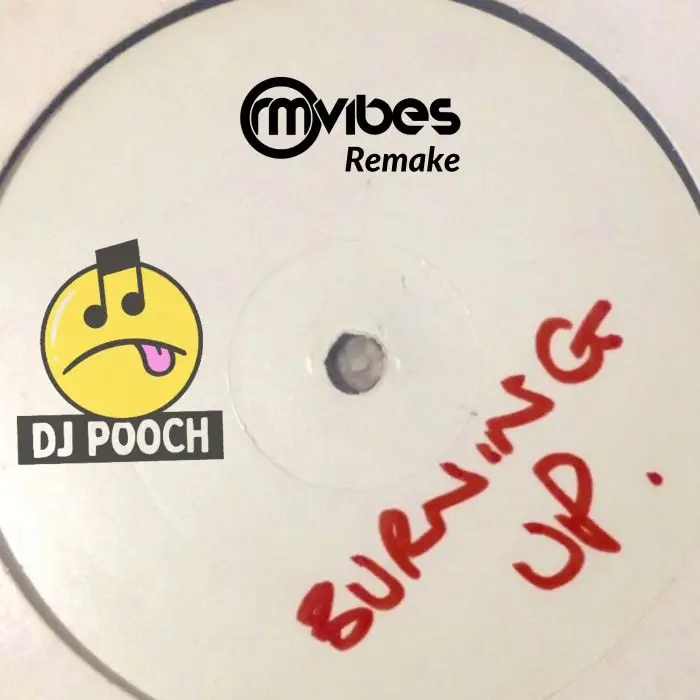 DJ Pooch - Burning Up (Ableton Live Remake)Ableton Templates, Serum Presets