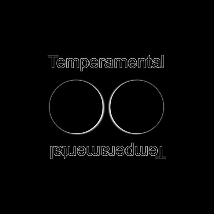 Temperamental (Nano Mechanic Remix)Stock Music