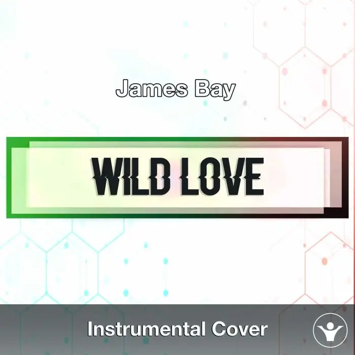 James Bay - Wild Love (Instrumental Cover)Instrumental Covers
