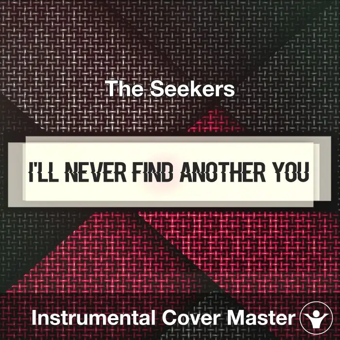 I'll Never Find Another You - The Seekers - Instrumental CoverInstrumental Covers