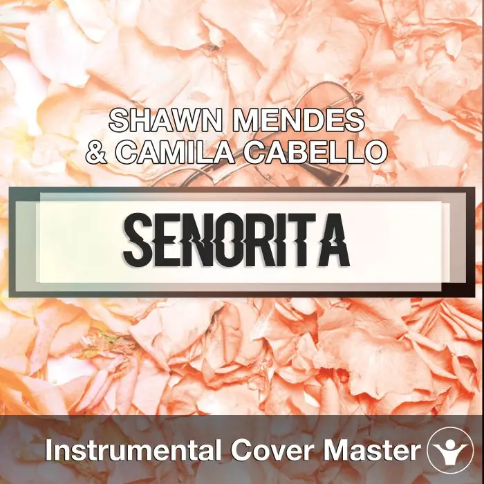 SHAWN MENDES & CAMILA CABELLO - Señorita (Instrumental Cover)Instrumental Covers