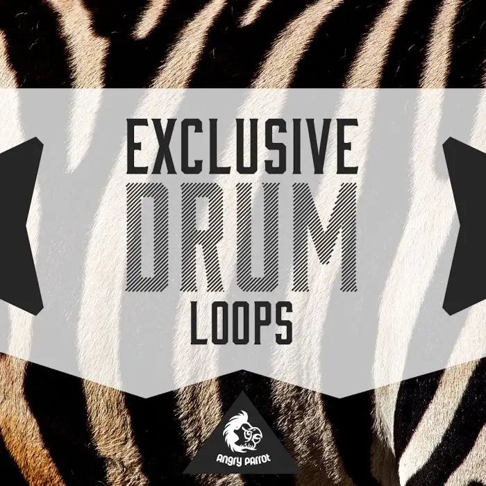 Exclusive Drum LoopsSample Packs