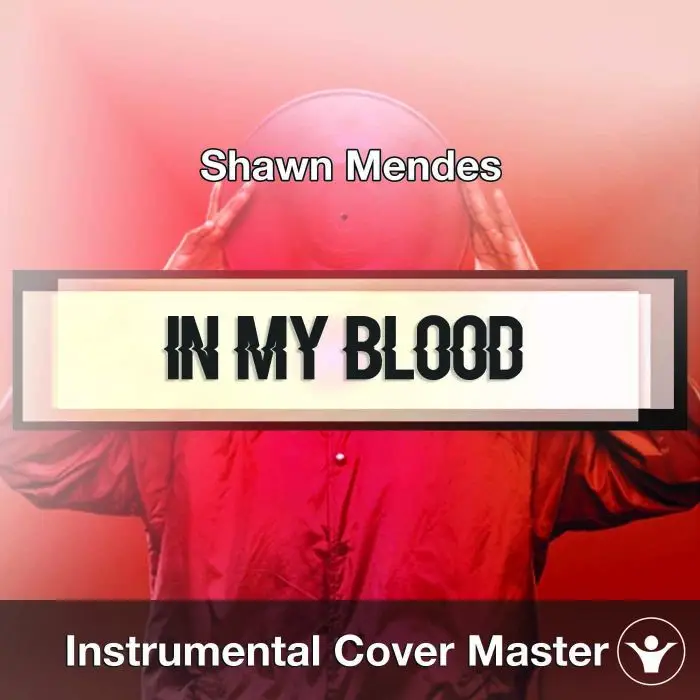 Shawn Mendes - In My Blood (Instrumental Cover)Instrumental Covers