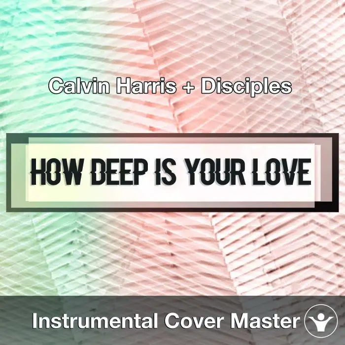 Calvin Harris & Disciples - How Deep Is Your Love (Instrumental Cover)Instrumental Covers