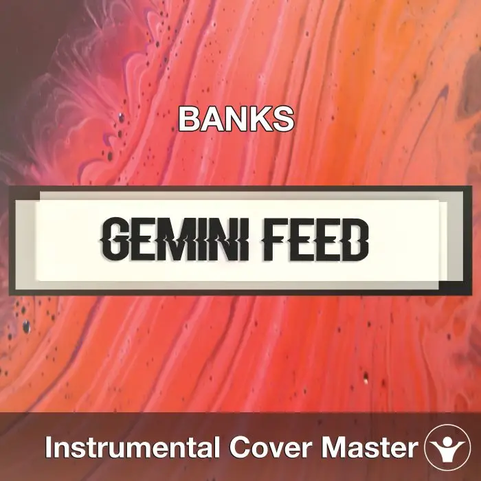 BANKS - Gemini Feed (Instrumental Cover)Instrumental Covers