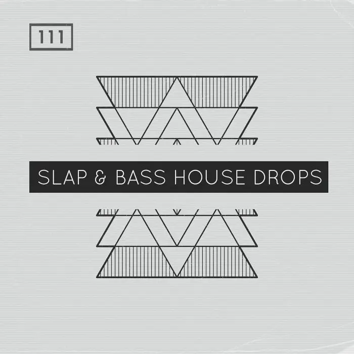 Slap & Bass House DropsMIDI FIles