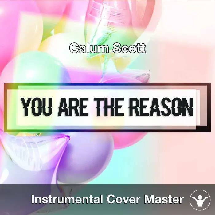 Calum Scott - You Are The Reason (Instrumental Cover)Instrumental Covers