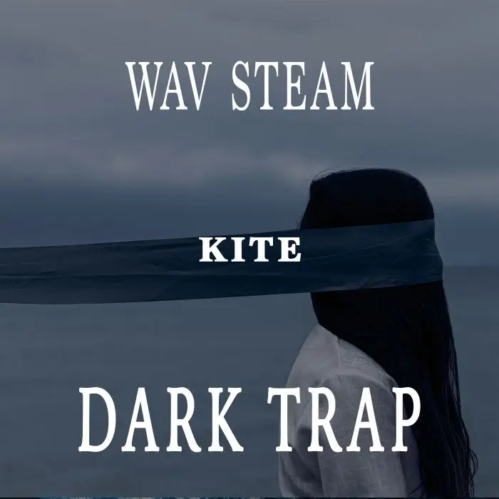Kite ( WAV STEMS )Audio STEMS