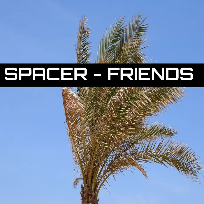 Spacer - FriendsStock Music
