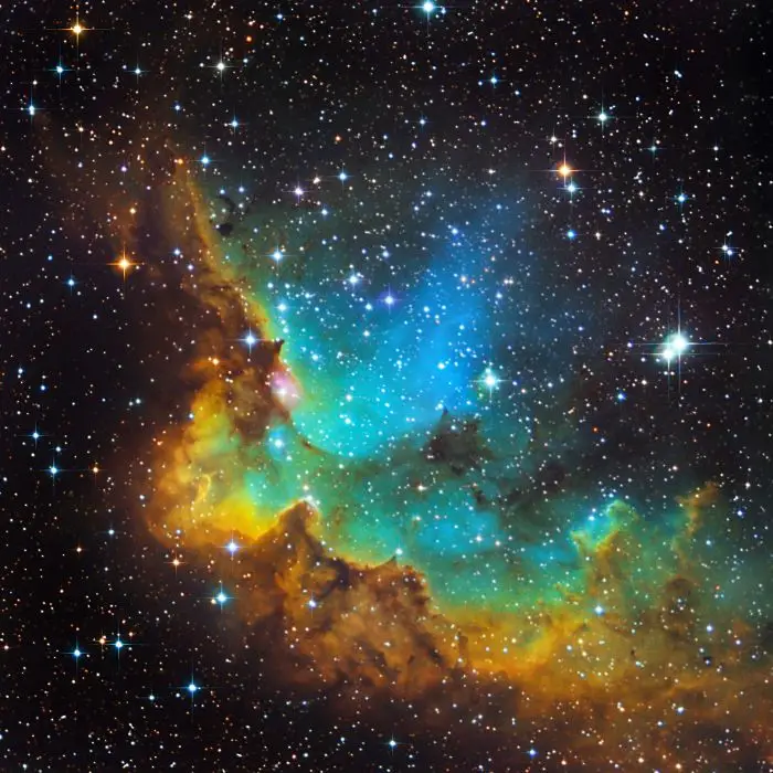 Rainforce Ableton TemplateAbleton Templates