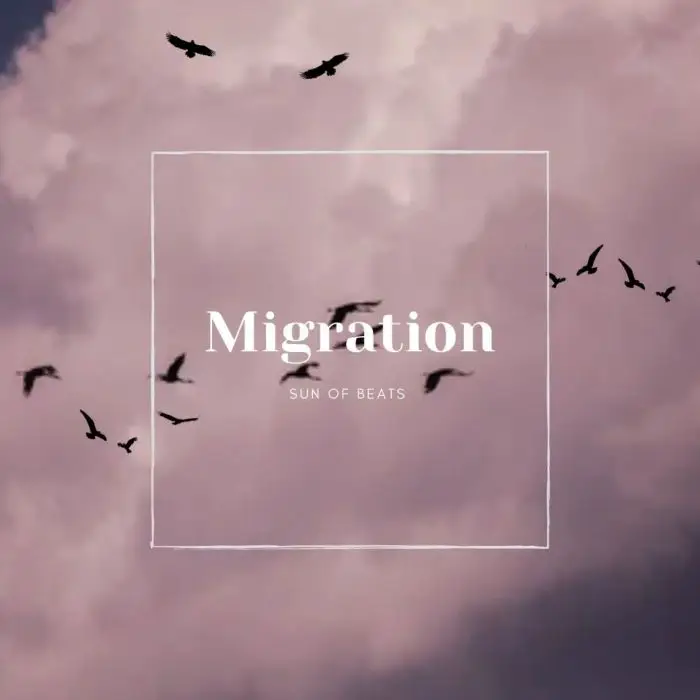 Migration (WAV STEMS) Logic Pro X TemplateLogic Pro Templates