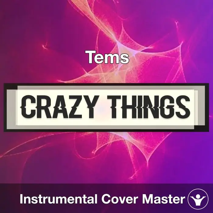Crazy Things - Tems - Instrumental CoverInstrumental Covers
