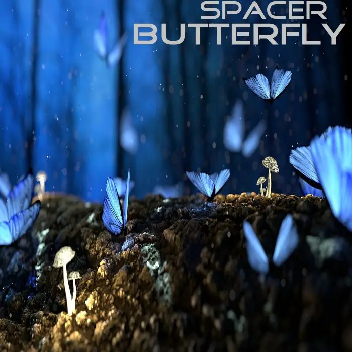 Spacer - ButterflyStock Music