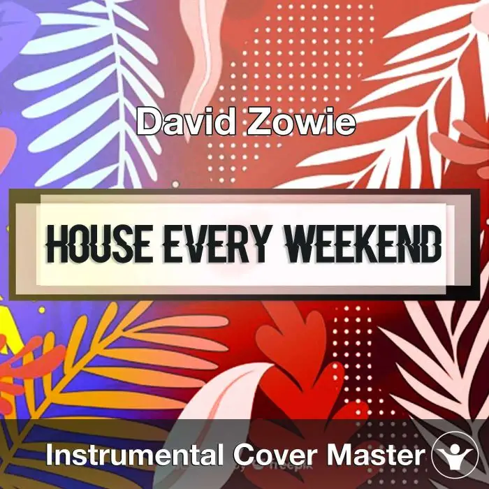 David Zowie - House Every Weekend (Instrumental Cover)Instrumental Covers