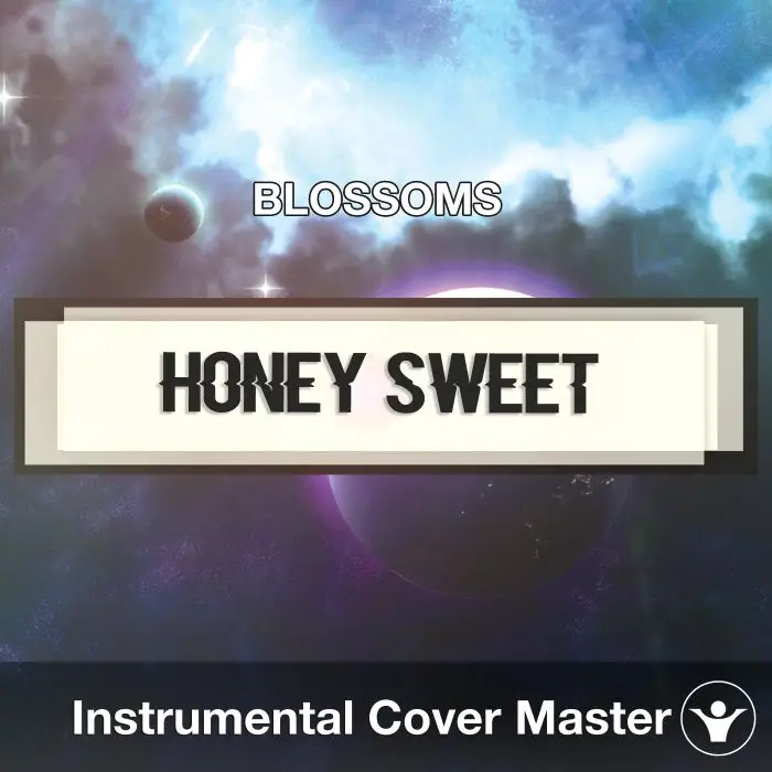 BLOSSOMS - Honey Sweet (Instrumental Cover)Instrumental Covers