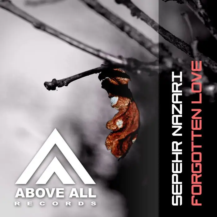 Emotional Uplifting Trance Fl studio Template VOL.3 By Sepehr Nazari (FL Studio Templates