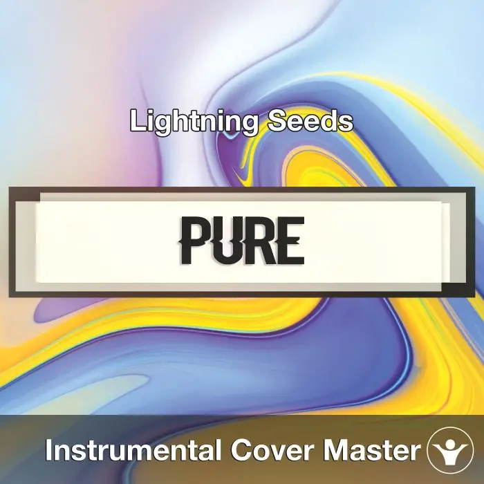 Pure (Lightning Seeds) - Instrumental CoverInstrumental Covers