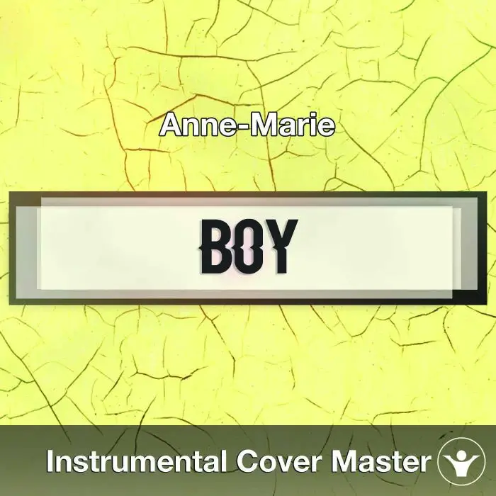 Anne-Marie - Boy (Instrumental Cover)Instrumental Covers