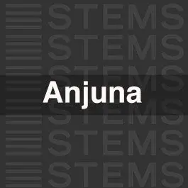 Anjuna Progressive  STEMS MasteringAudio STEMS