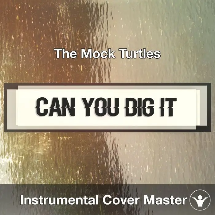 Can You Dig It (The Mock Turtles) - Instumental CoverInstrumental Covers