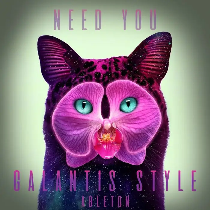 Need You (Galantis Style) Ableton TemplateAbleton Templates