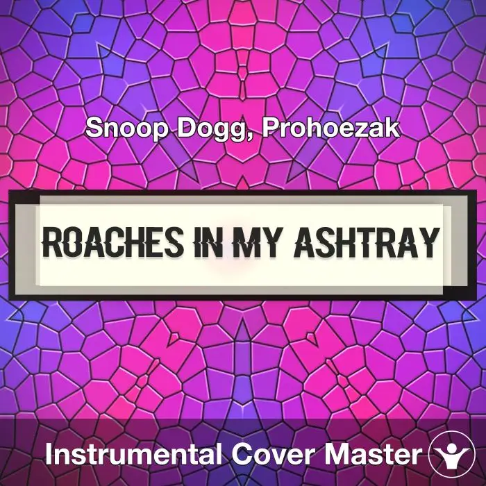 Roaches In My Ashtray - Snoop Dogg, Prohoezak - Instrumental CoverInstrumental Covers