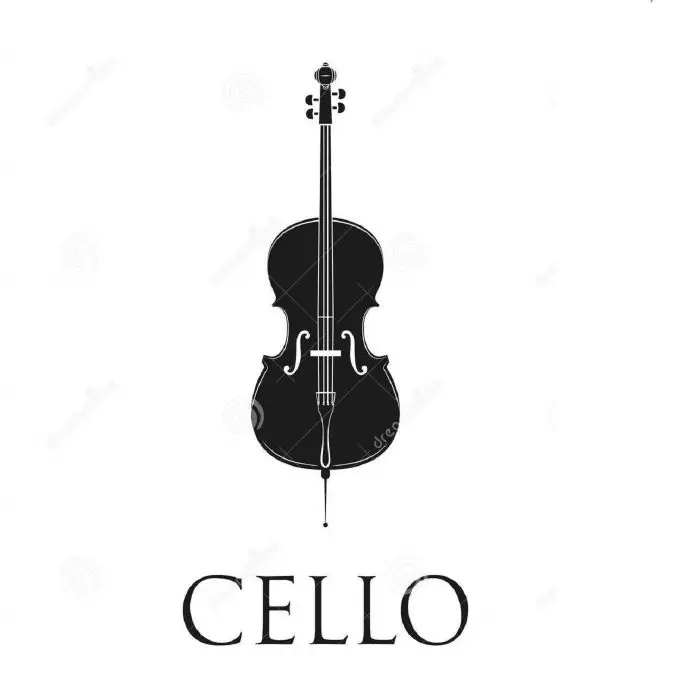 Acoustic Cello AmSample Packs