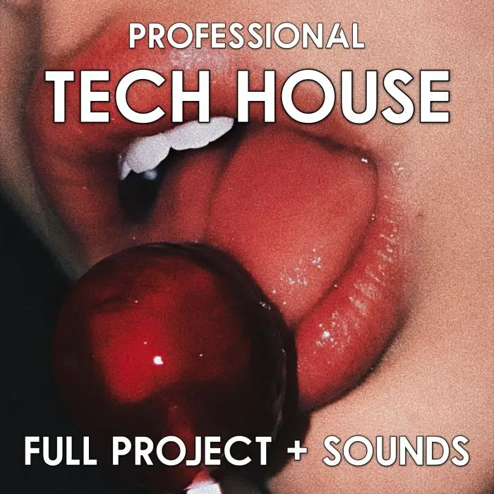 Naughty - Professional Tech House FL Studio TemplateFL Studio Templates