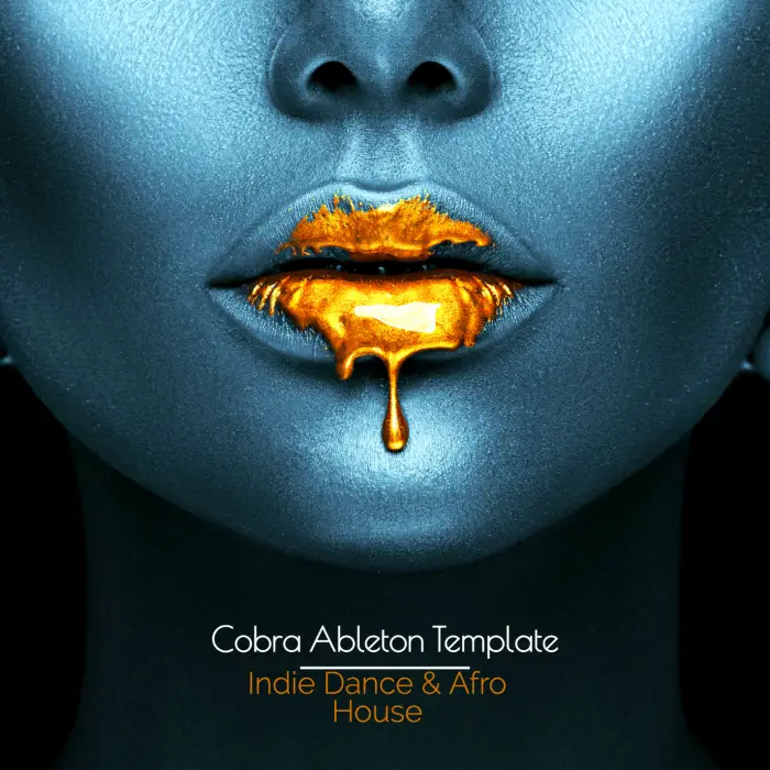 Cobra - Indie Dance Afro House Ableton Live TemplateAbleton Templates