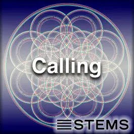 Calling STEMSAudio STEMS