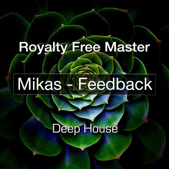 Feedback - MasterStock Music