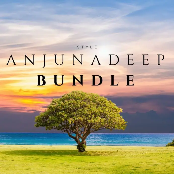 BUNDLE of 4: Anjunabeats Ben Böhmer Anjunadeep Style - Ableton LiveAbleton Templates, Bundles
