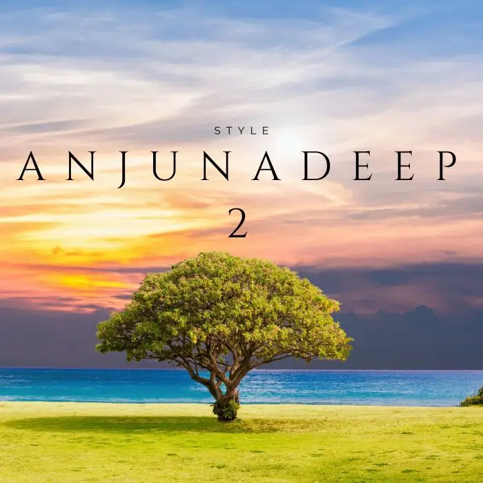 Anjunabeats Ben Böhmer Anjunadeep Style - Ableton Live Template #2 Ableton Templates