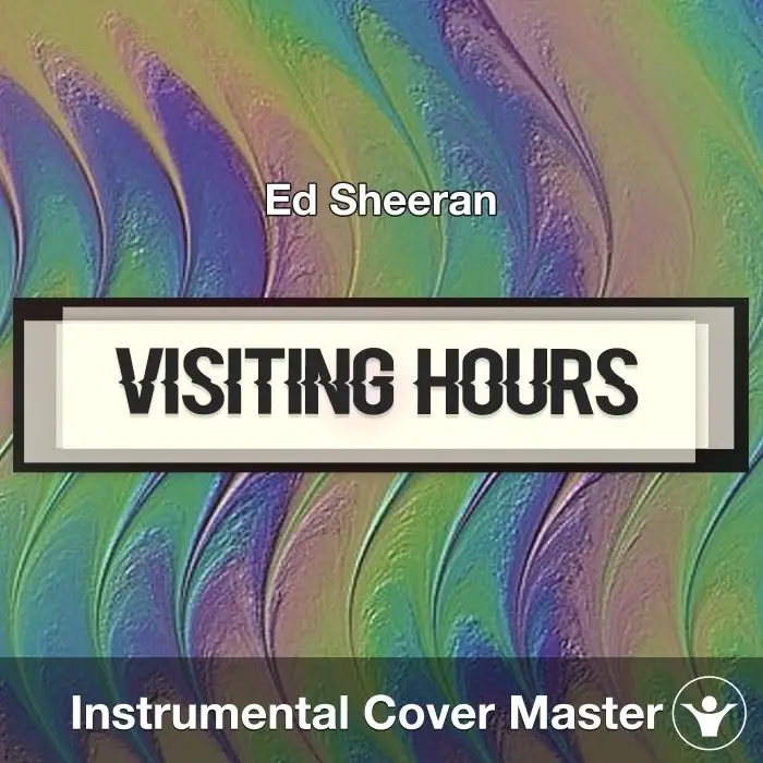 Visiting Hours - Ed Sheeran - Instrumental CoverInstrumental Covers