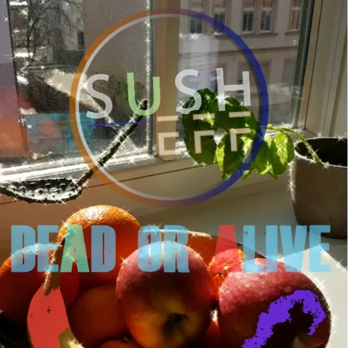 Dead or Alive Banger Ableton TemplateAbleton Templates