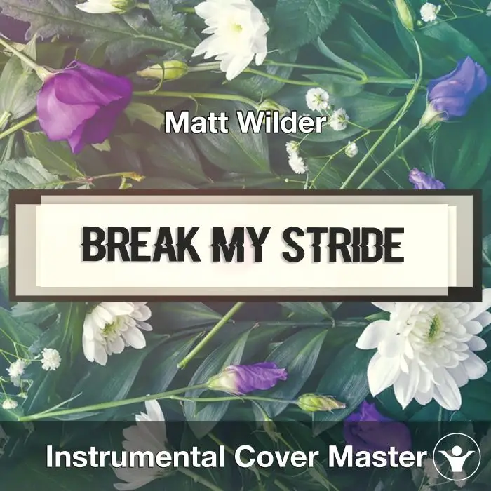 Break My Stride (Matt Wilder) - Instrument CoverInstrumental Covers