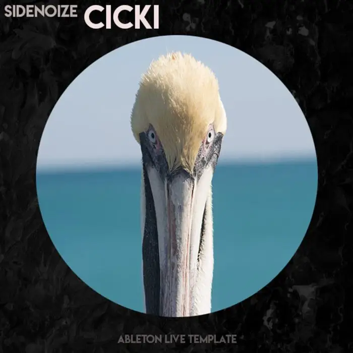 Tech House Ableton Template - CickiAbleton Templates
