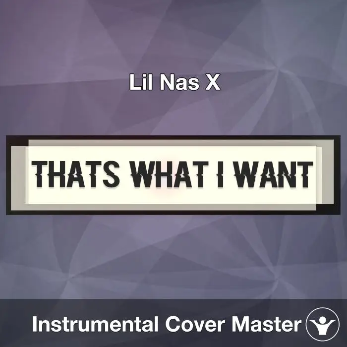 THATS WHAT I WANT - Lil Nas X - Instrumental CoverInstrumental Covers