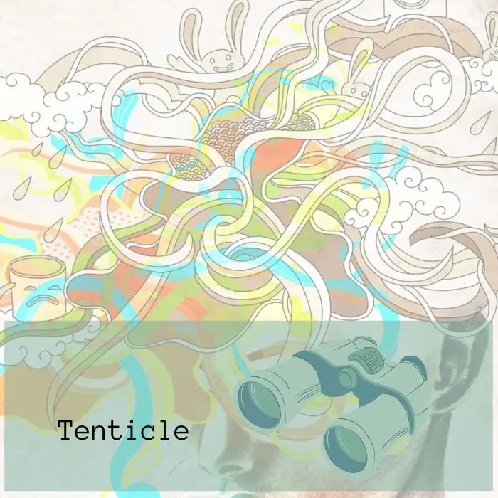 Tenticle Ableton TemplateAbleton Templates (Stock Plugins)